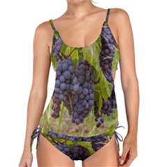 Grapes 4 Tankini Set