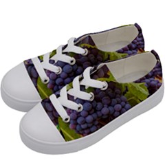 Grapes 4 Kids  Low Top Canvas Sneakers