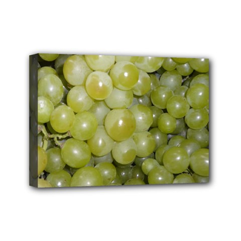 Grapes 5 Mini Canvas 7  X 5  by trendistuff