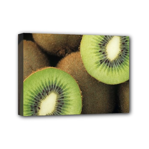 Kiwi 2 Mini Canvas 7  X 5  by trendistuff