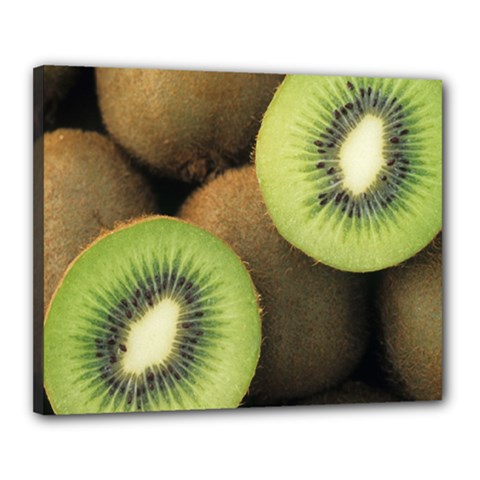 Kiwi 2 Canvas 20  X 16  by trendistuff