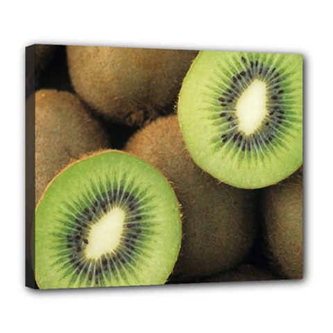 Kiwi 2 Deluxe Canvas 24  X 20   by trendistuff