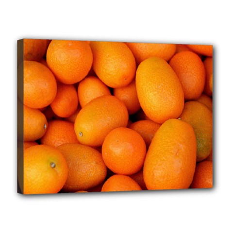 Kumquat 2 Canvas 16  X 12  by trendistuff