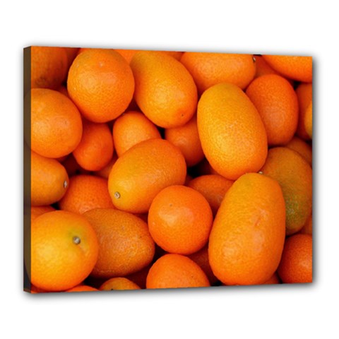 Kumquat 2 Canvas 20  X 16  by trendistuff