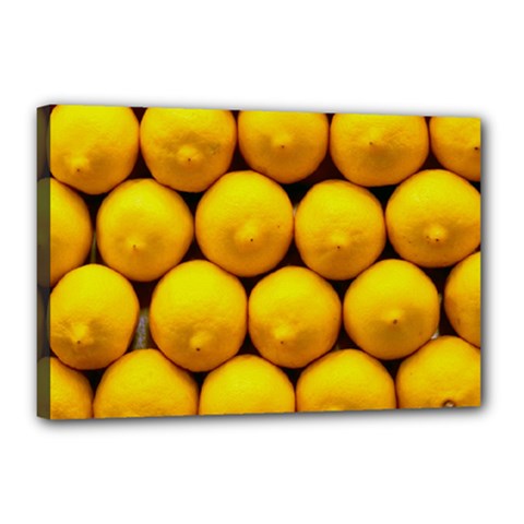 Lemons 1 Canvas 18  X 12  by trendistuff