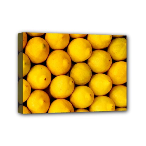 Lemons 2 Mini Canvas 7  X 5  by trendistuff