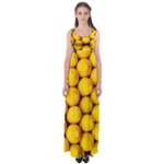 LEMONS 2 Empire Waist Maxi Dress