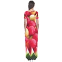 MELON BALLS Short Sleeve Maxi Dress View2