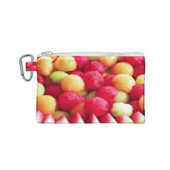 Melon Balls Canvas Cosmetic Bag (small) by trendistuff