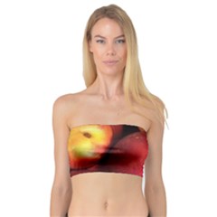 Nectarines Bandeau Top by trendistuff