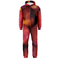 Nectarines Hooded Jumpsuit (men) 