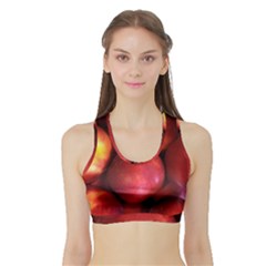 Nectarines Sports Bra With Border by trendistuff