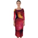 NECTARINES Quarter Sleeve Midi Bodycon Dress View1