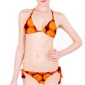 ORANGES 1 Bikini Set View1