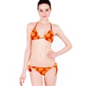 ORANGES 2 Bikini Set View3