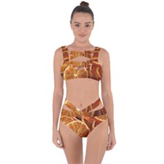 Oranges 5 Bandaged Up Bikini Set  by trendistuff