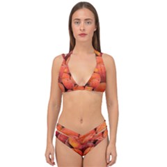 Peaches 2 Double Strap Halter Bikini Set