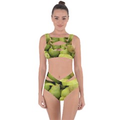 Pears 1 Bandaged Up Bikini Set 