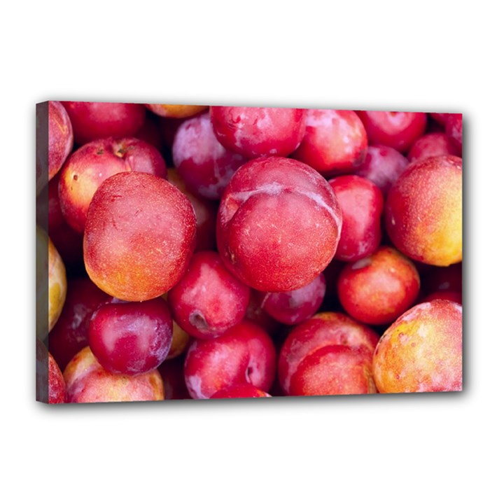 PLUMS 1 Canvas 18  x 12 