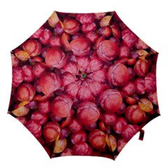 Plums 1 Hook Handle Umbrellas (small) by trendistuff