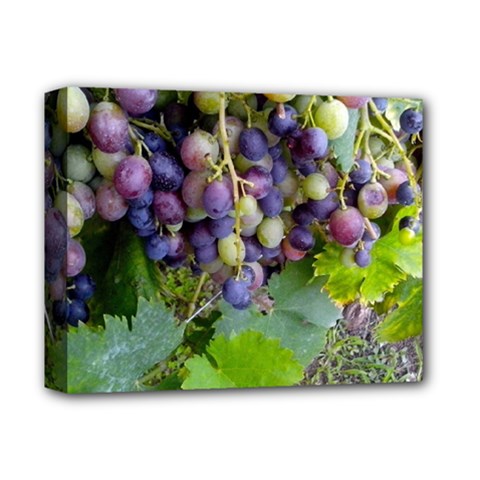 Grapes 2 Deluxe Canvas 14  X 11  by trendistuff