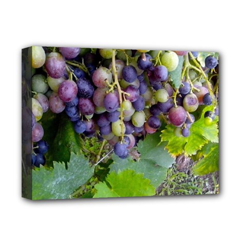 Grapes 2 Deluxe Canvas 16  X 12   by trendistuff