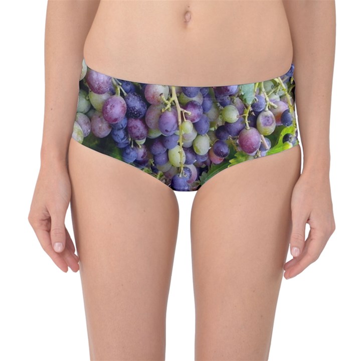 GRAPES 2 Mid-Waist Bikini Bottoms