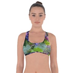 Grapes 2 Got No Strings Sports Bra by trendistuff