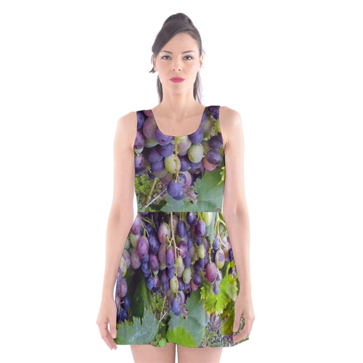 GRAPES 2 Scoop Neck Skater Dress