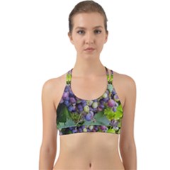 Grapes 2 Back Web Sports Bra by trendistuff