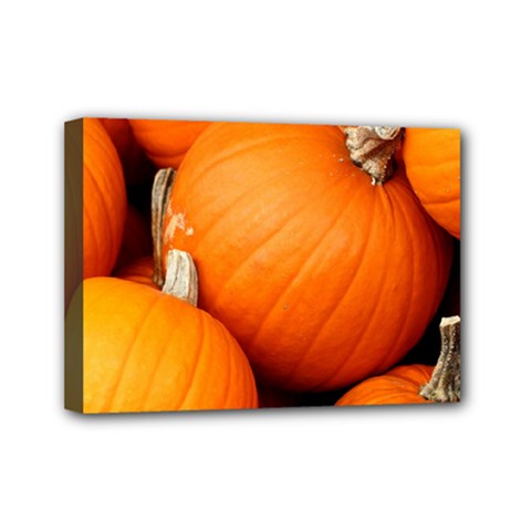 Pumpkins 1 Mini Canvas 7  X 5  by trendistuff