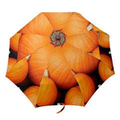 Pumpkins 1 Folding Umbrellas by trendistuff