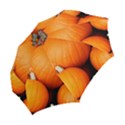 PUMPKINS 1 Folding Umbrellas View2