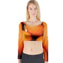 PUMPKINS 1 Long Sleeve Crop Top View1