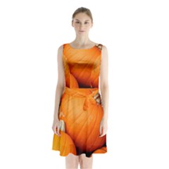 Pumpkins 1 Sleeveless Waist Tie Chiffon Dress by trendistuff