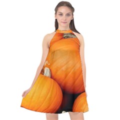 Pumpkins 1 Halter Neckline Chiffon Dress  by trendistuff