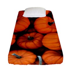 Pumpkins 2 Fitted Sheet (single Size) by trendistuff