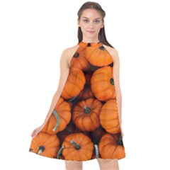 Pumpkins 2 Halter Neckline Chiffon Dress  by trendistuff