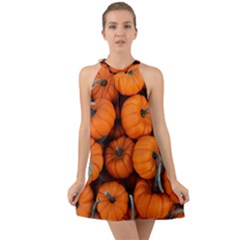 Pumpkins 2 Halter Tie Back Chiffon Dress by trendistuff