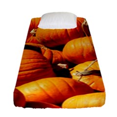 Pumpkins 3 Fitted Sheet (single Size) by trendistuff