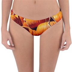 Pumpkins 3 Reversible Hipster Bikini Bottoms by trendistuff