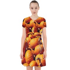 Pumpkins 3 Adorable In Chiffon Dress by trendistuff