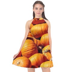 Pumpkins 3 Halter Neckline Chiffon Dress  by trendistuff