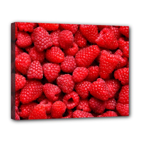 Raspberries 2 Canvas 14  X 11  by trendistuff