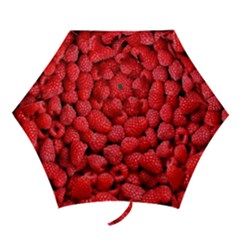 Raspberries 2 Mini Folding Umbrellas by trendistuff