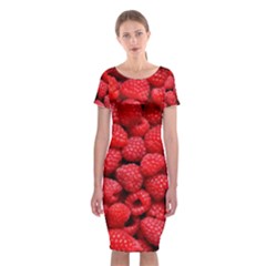 Raspberries 2 Classic Short Sleeve Midi Dress by trendistuff