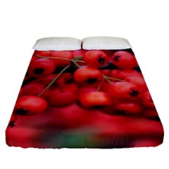 Red Berries 1 Fitted Sheet (queen Size) by trendistuff