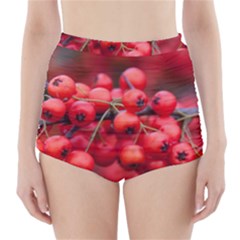 Red Berries 1 High-waisted Bikini Bottoms by trendistuff