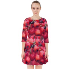 Red Berries 1 Smock Dress by trendistuff