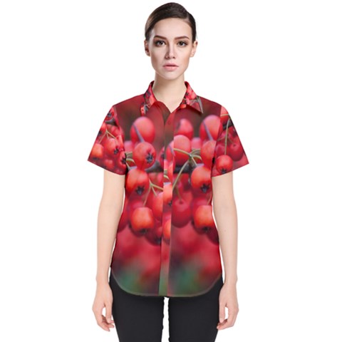 Red Berries 1 Women s Short Sleeve Shirt by trendistuff